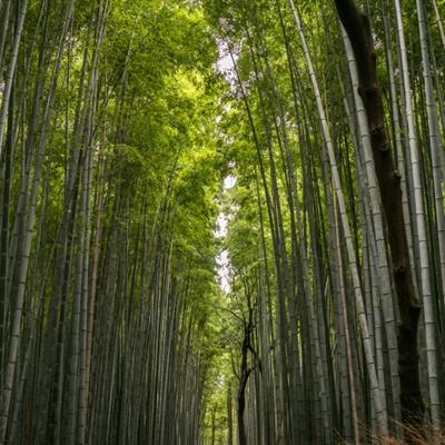 一部中国工人阶级百年奋斗史